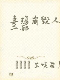 妻殇崩毁人生第二部