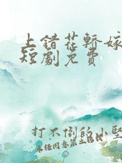 上错花轿嫁王爷短剧免费