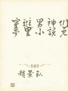 穿进男神们的春梦里小说免费阅读