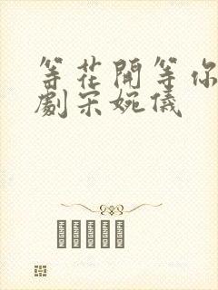 等花开等你归短剧宋婉仪