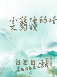 小说他的暗卫全文阅读