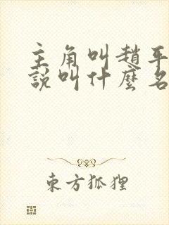 主角叫赵平的小说叫什么名字