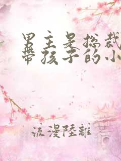 男主是总裁独自带孩子的小说