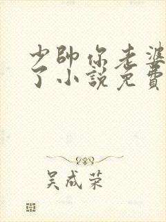 少帅你老婆又跑了小说免费完整版