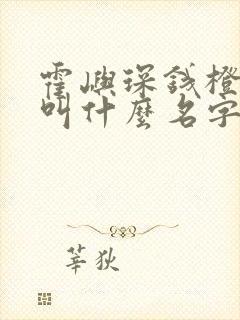 霍屿琛钱橙小说叫什么名字