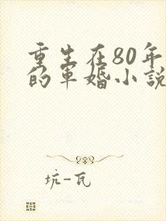 重生在80年代的军婚小说