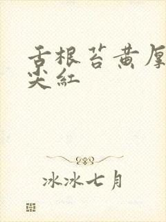 舌根苔黄厚腻舌尖红