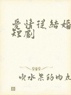 爱情从结婚开始短剧