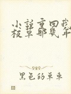 小说重回我爸当校草那几年在线看