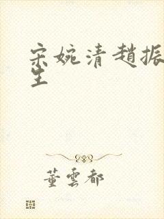 宋婉清赵振国重生