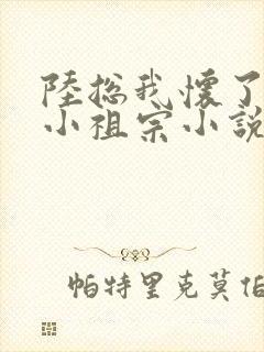 陆总我怀了你的小祖宗小说