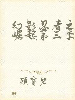 幻影忍者之神龙崛起第三季