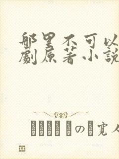 那里不可以广播剧原著小说叫什么