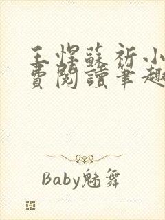 王悍苏祈小说免费阅读笔趣阁最新