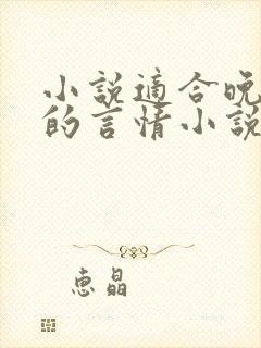 小说适合晚上看的言情小说