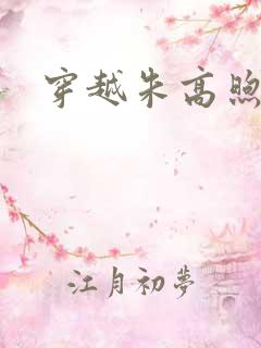 穿越朱高煦小说