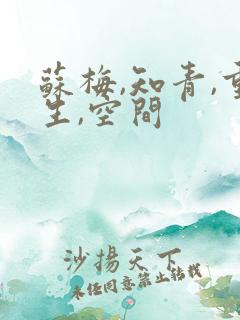 苏梅,知青,重生,空间