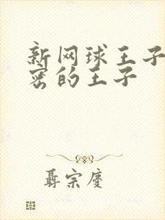 新网球王子 秘密的王子