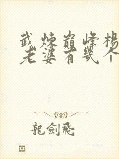 武炼巅峰杨开的老婆有几个