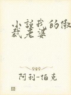 小说我的傲娇总裁老婆