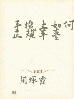 手机上如何赚钱正规平台