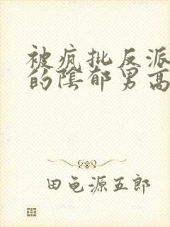 被疯批反派哄骗的阴郁男高笔趣阁