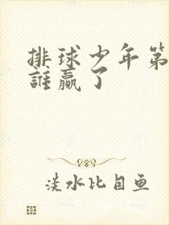 排球少年第三季谁赢了