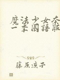 魔法少女奈叶第一季国语版