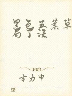 黑色五叶草大结局了没