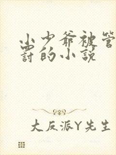 小少爷被管家惩罚的小说