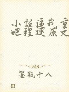 小说逼我重生是吧程逐原文免费阅读