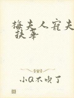 梅夫人宠夫日常 扶华