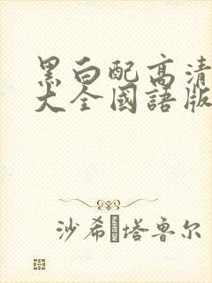 黑白配高清免费大全国语版