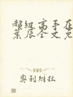 超级高手在都市叶辰全文免费阅读