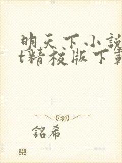 明天下小说txt精校版下载
