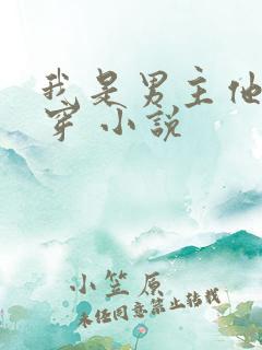 我是男主他哥快穿 小说