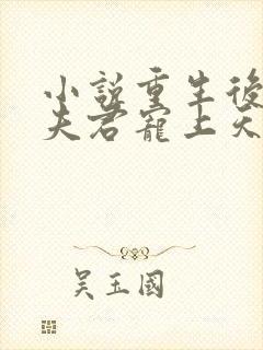 小说重生后我把夫君宠上天