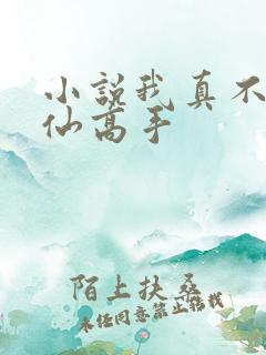 小说我真不是修仙高手