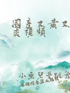 国产又黄又骚又爽视频