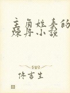 主角姓秦的重生炼丹小说