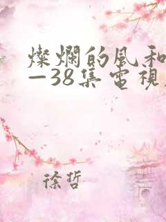 灿烂的风和海1—38集电视剧