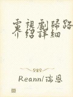 电视剧归路剧情介绍详细