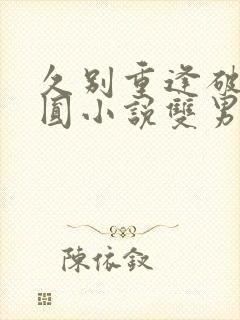 久别重逢破镜重圆小说双男主小说