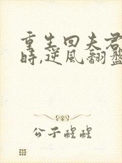 重生回夫君大婚时,逆风翻盘