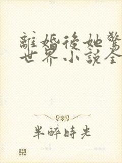 离婚后她惊艳了世界小说全文