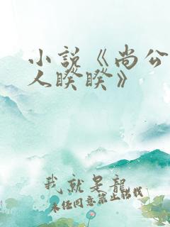 小说《尚公主伊人睽睽》