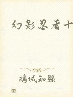 幻影忍者十一季