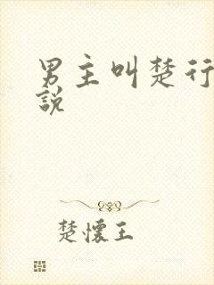 男主叫楚行的小说