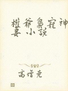 权爷枭宠神秘娇妻 小说