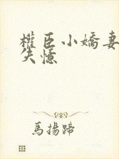 权臣小娇妻总是失忆